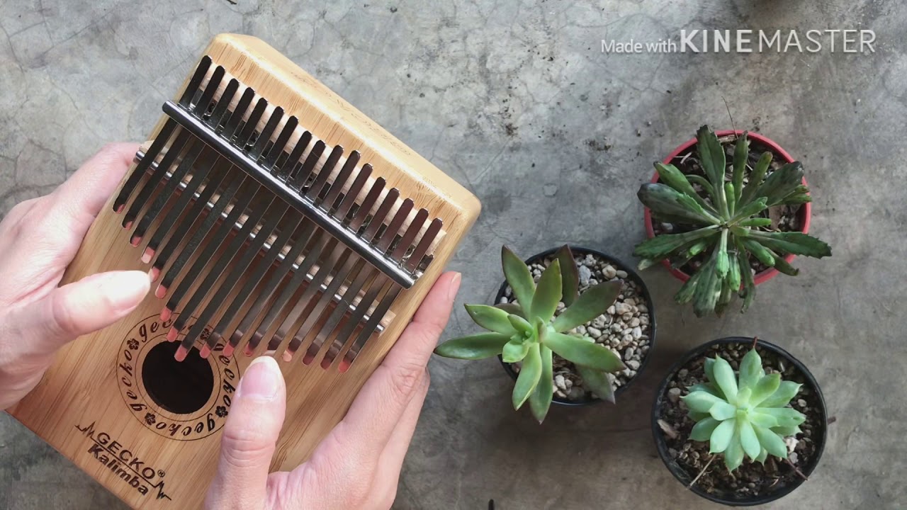 ปล่อย - Num Kala  Kalimba cover