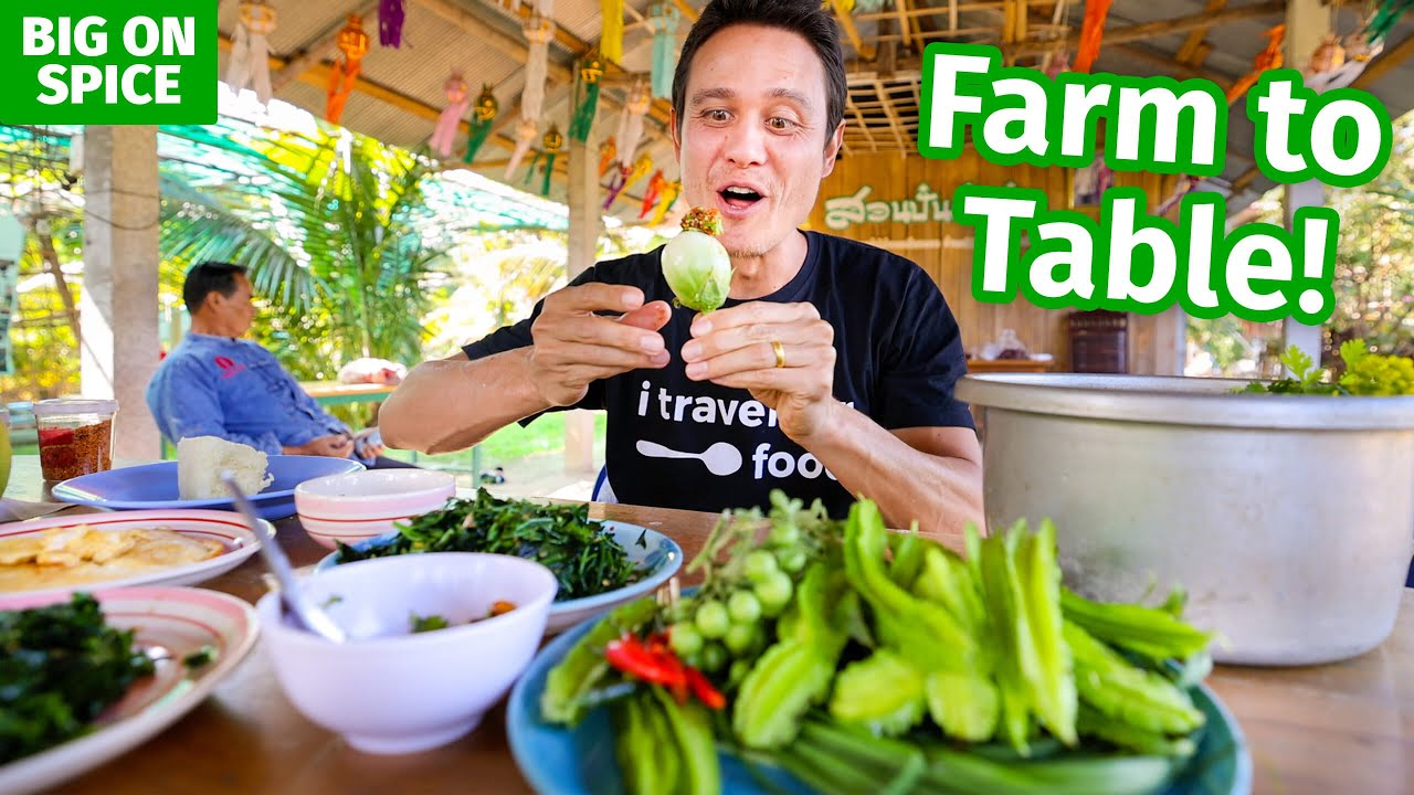 Thai Food - Backyard Food Farm! 100 Edible Ingredients Garden in Chiang Rai, Thailand!