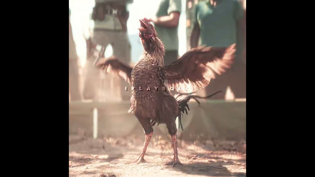 Bro Just Declared War on Anton Castillo 🐓 | [4K] #shorts #farcry6