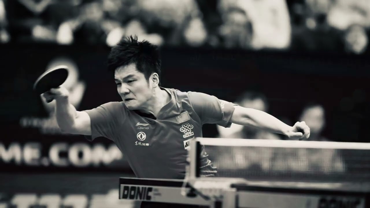 🇨🇳 FAN Zhen Dong 樊振東 - BOLL Timo 🇩🇪 | Austrian Open 2019