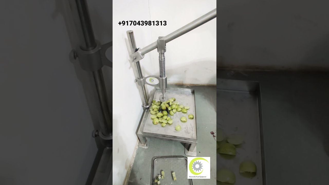 Amala seed remover Amala cutting machine AMALA SHREDDING MACHINE #shorts
