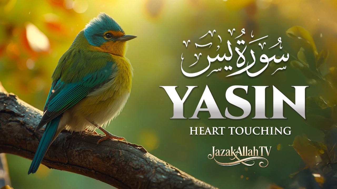 Surah Yaseen (Yasin) سورة يس | Ultimate Relaxing Quran Will Touch Your Heart إن شاء الله #surahyasin