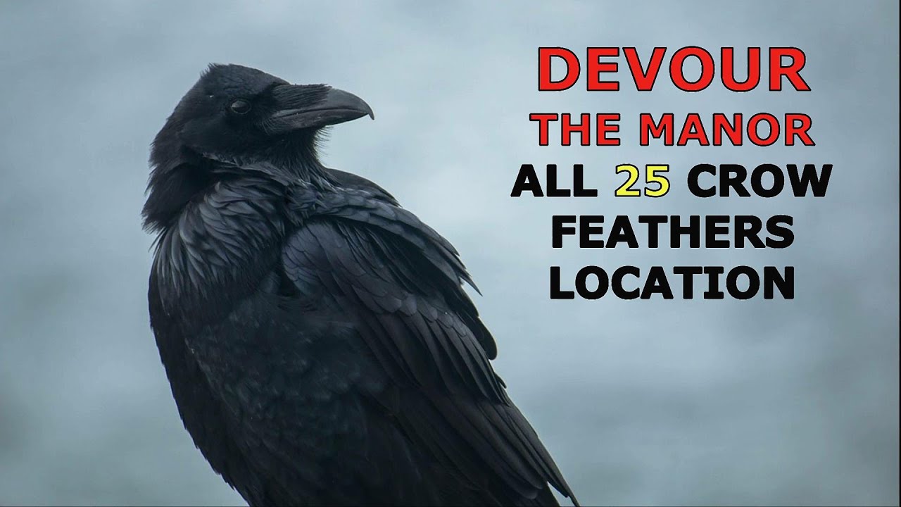 DEVOUR - The Manor - All 25 Feathers Location
