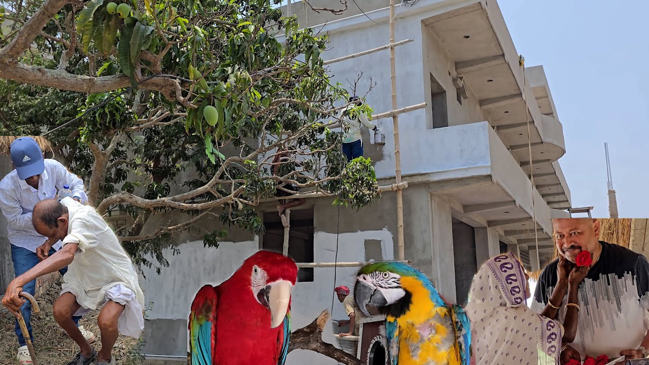 Hut Of Our New Farm Was Inaugurated.