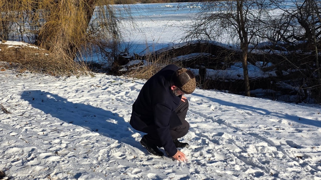 E drejta ishte me dhelprën e uritur!