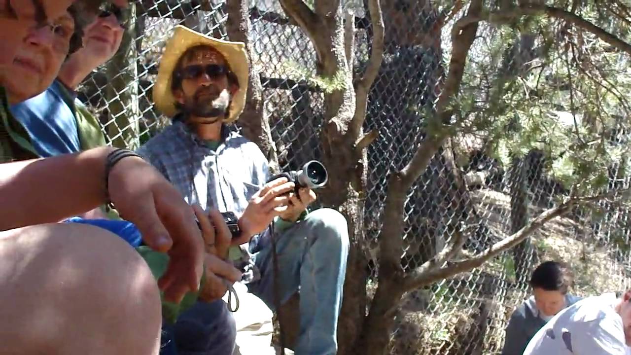 Kent At Mission Wolf