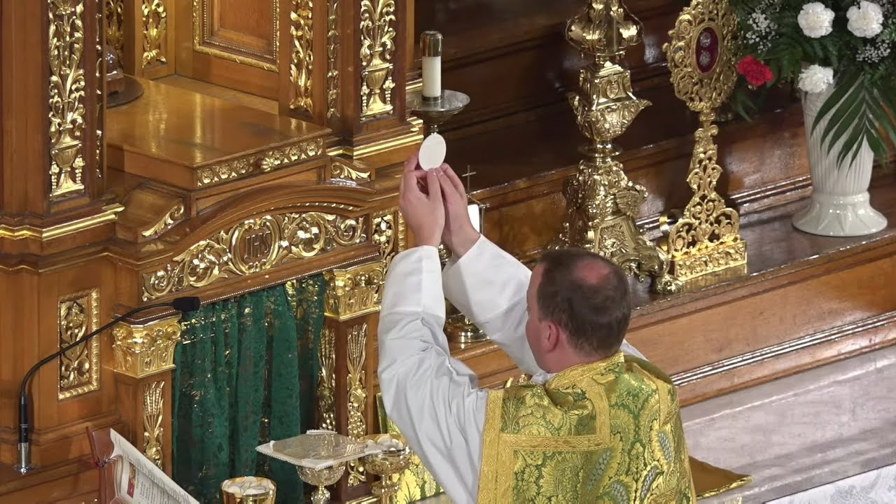 5th Sunday in Ordinary Time