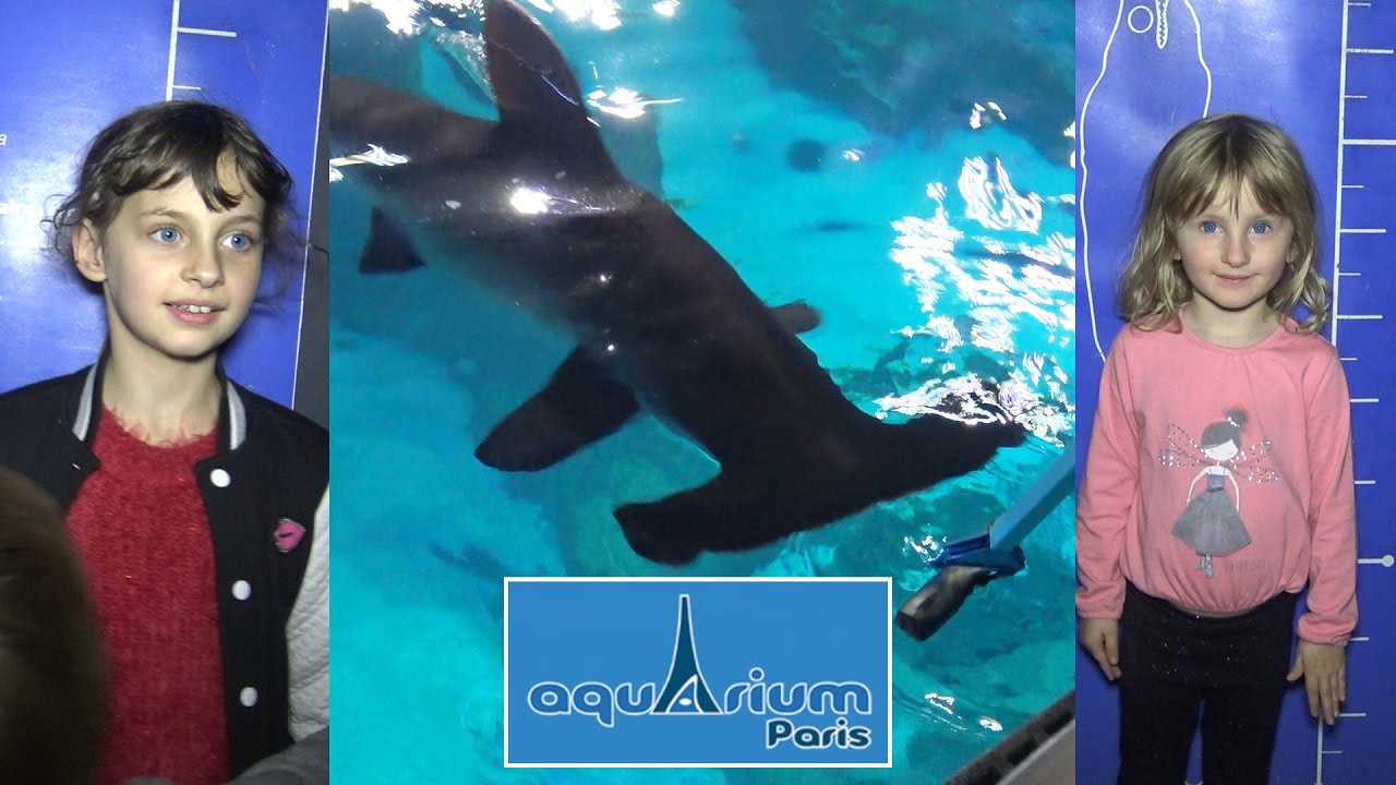 VLOG • ON NOURRIT les REQUINS à l'Aquarium de Paris (part 1) ft. Hugo - Studio Bubble Tea