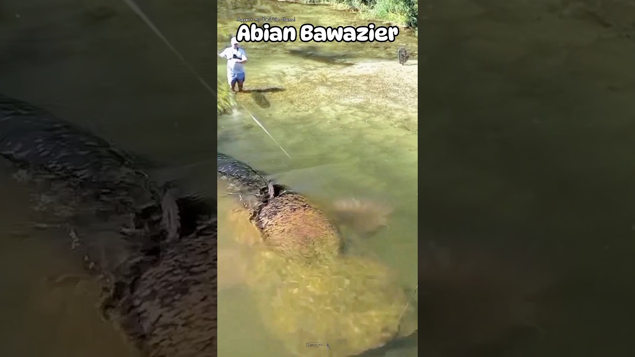 Record for fishing for the biggest monster tapah fish