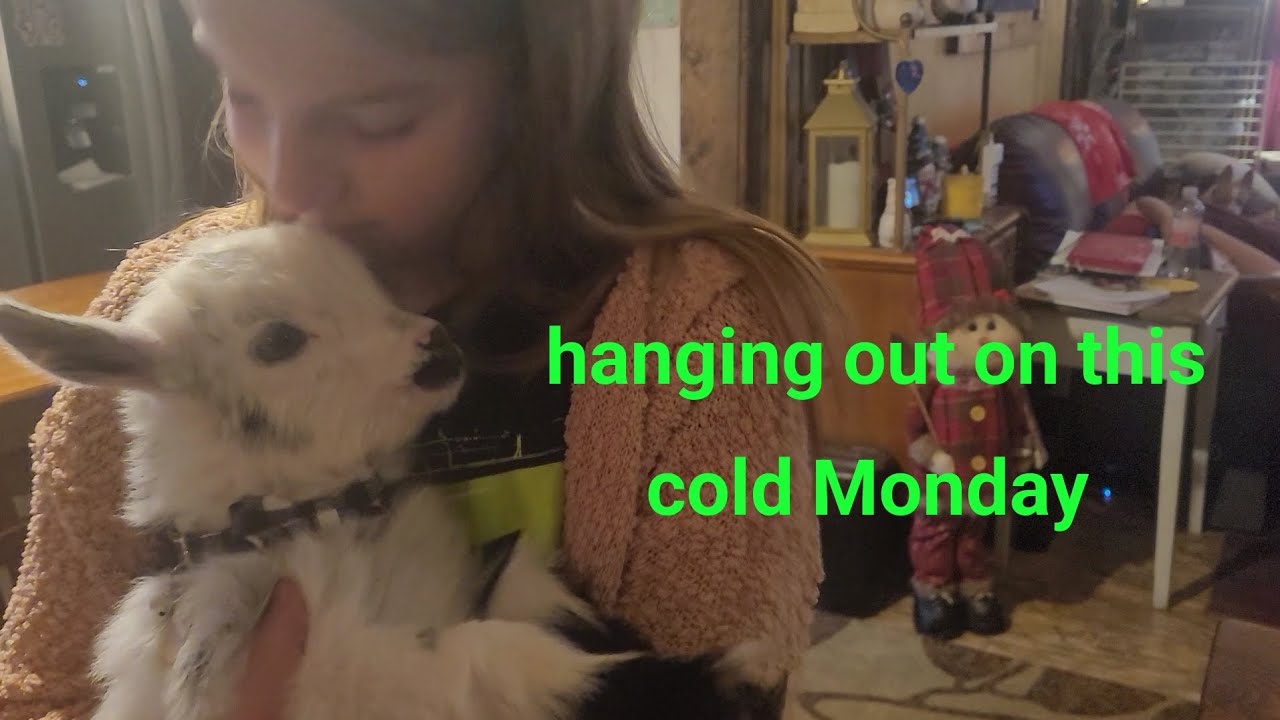 Hanging Out on this Cold Monday 