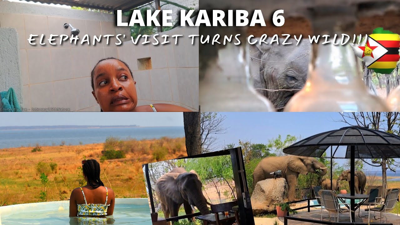 Ep10|S2| 🙌🏾 It's Elephant Wild Day at Warthog Safari Camp Kariba| Zimbabwean EcoTravel Youtuber