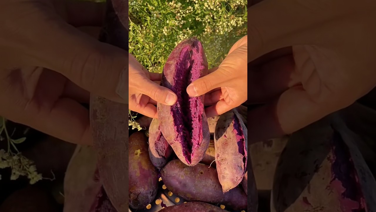 Purple Sweet Potatoes #shorts