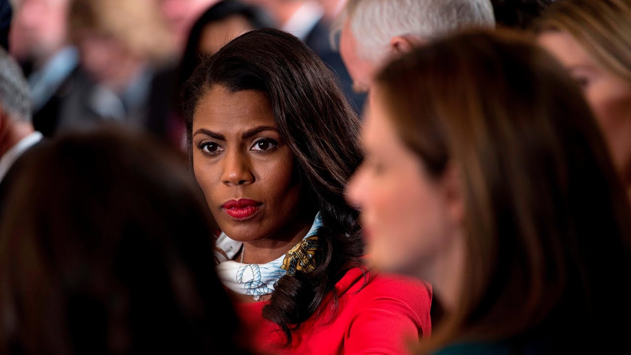 'It's so bad': former White House aide on Trump's presidency