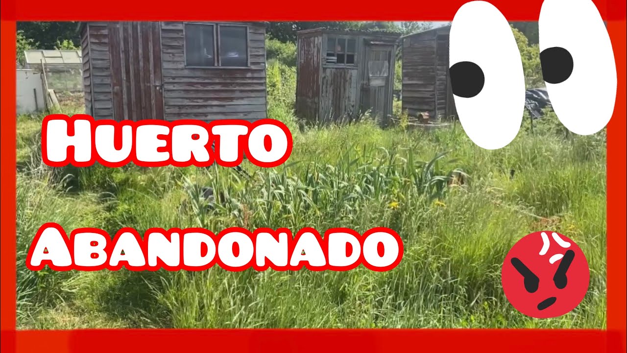 💪🏻🦾HOY RECUPERAMOS NUESTRO HUERTO🦾💪🏻