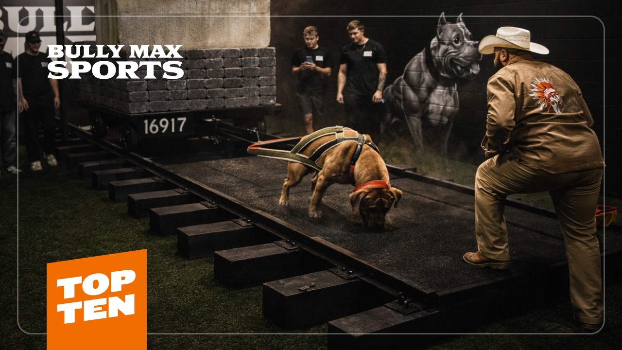Топ-10 от Bully Max Sports | Тяга тяжестей