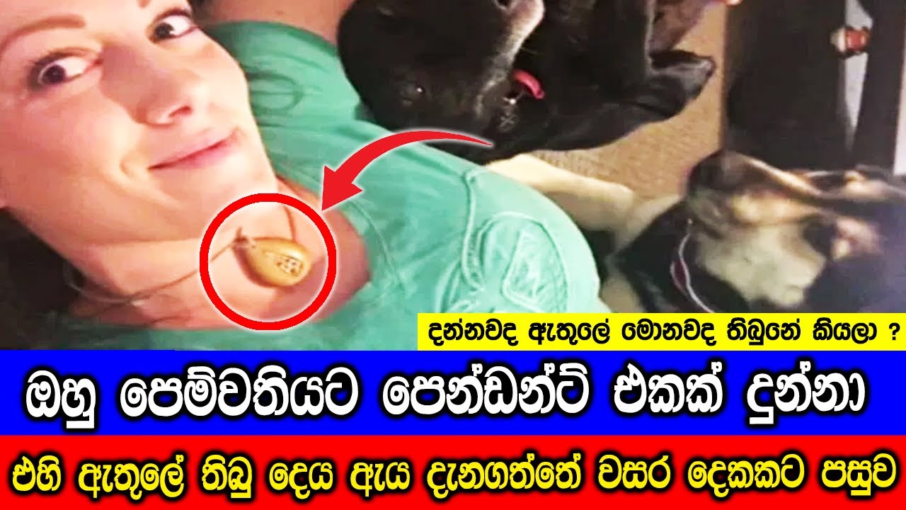 අනපේක්ෂිත ස්ථානයන් වලින් හමුවූ විශ්මයජනක දේවල්.
