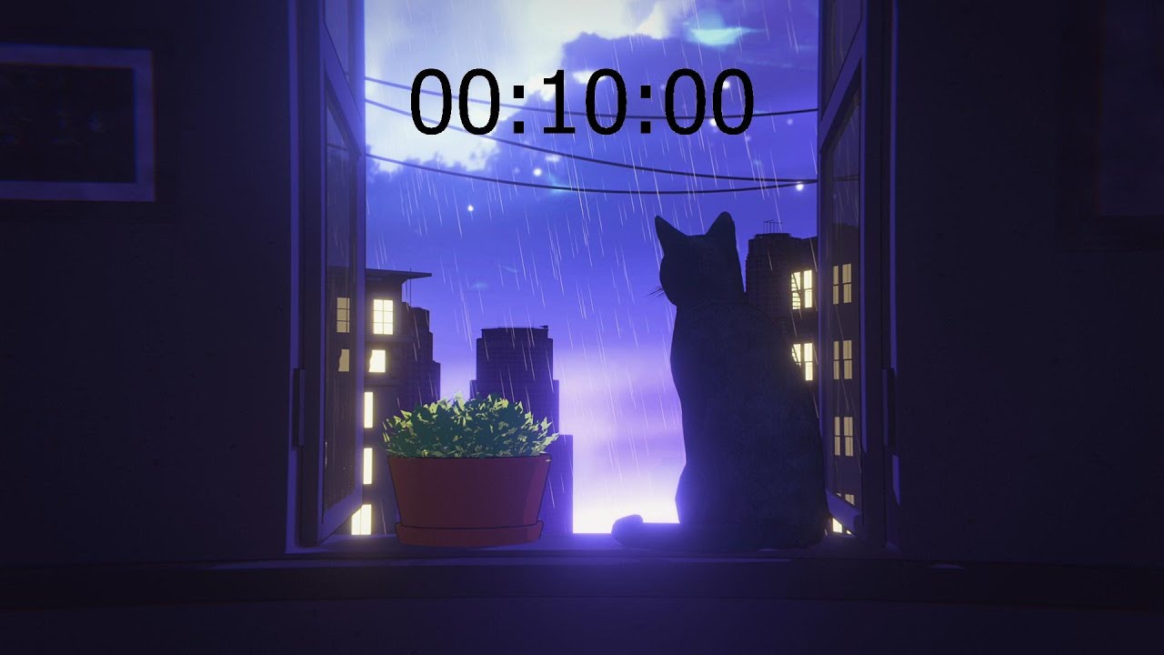 CAT 😻 RAIN ⛈️ 10 MINUTE TIMER ⏲️