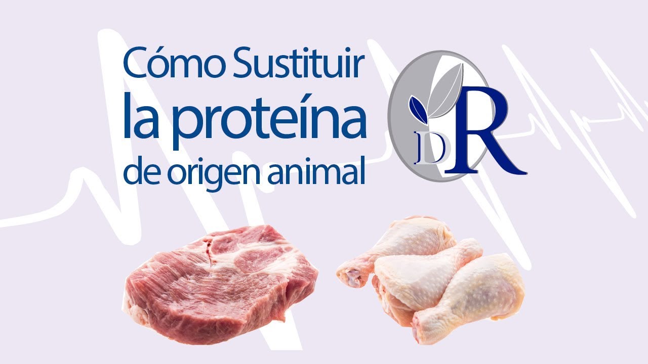 Cómo reemplazar la proteína animal