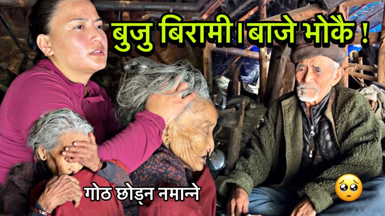 गोठ पुग्दा बुजु बिरामी🤕 !बाजे भोकै भात कुर्दै😔 ।बाजेबुजु गोठ छोड्न नमान्ने ! Gothalo jivan