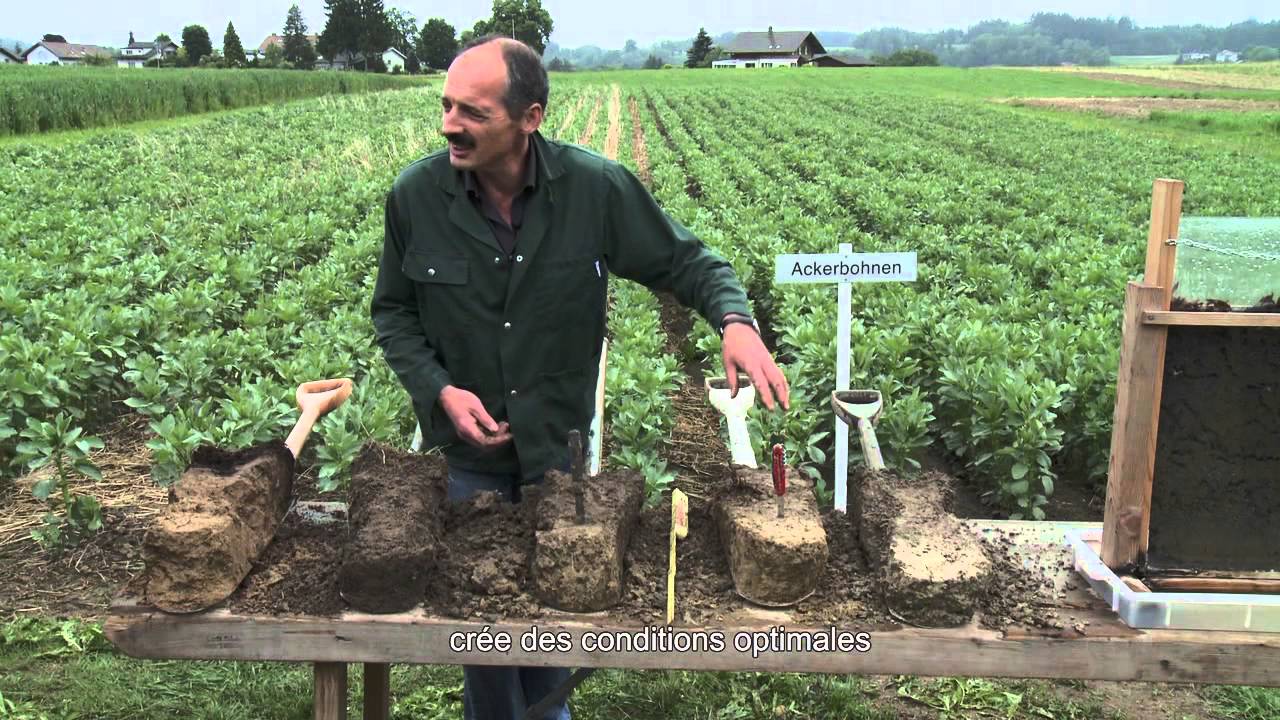 Test à la bêche