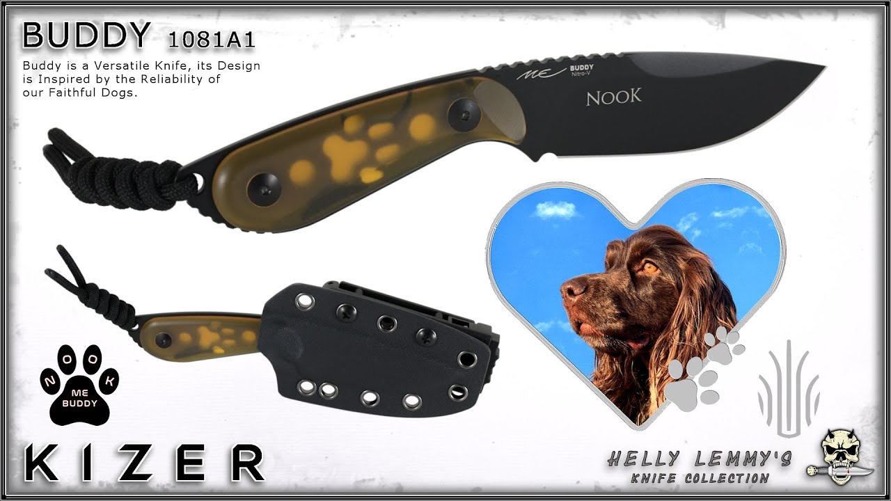 Kizer Buddy 1081A1 NooK