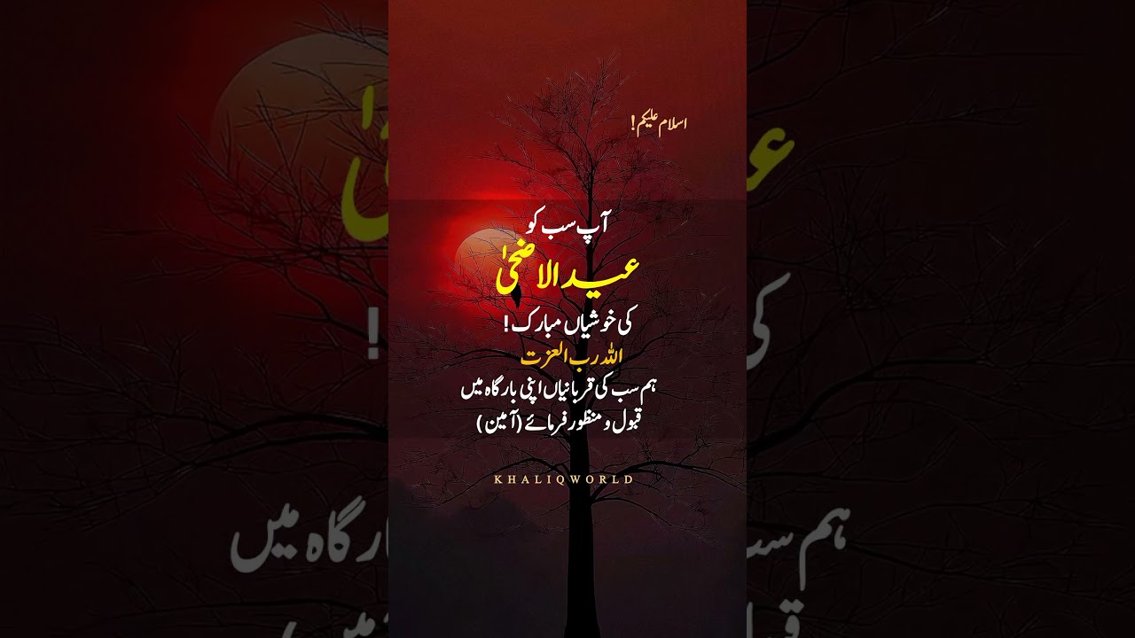 Eid mubarak 💖✨️ #allah #quotes #eidmubarak #islamicvideo #shorts #status #viralreels #trending