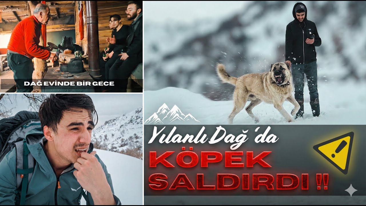 YILANLI DAĞI'NDA KÖPEK SALDIRISI! 😱 Dağ Evinde Zorlu Gece