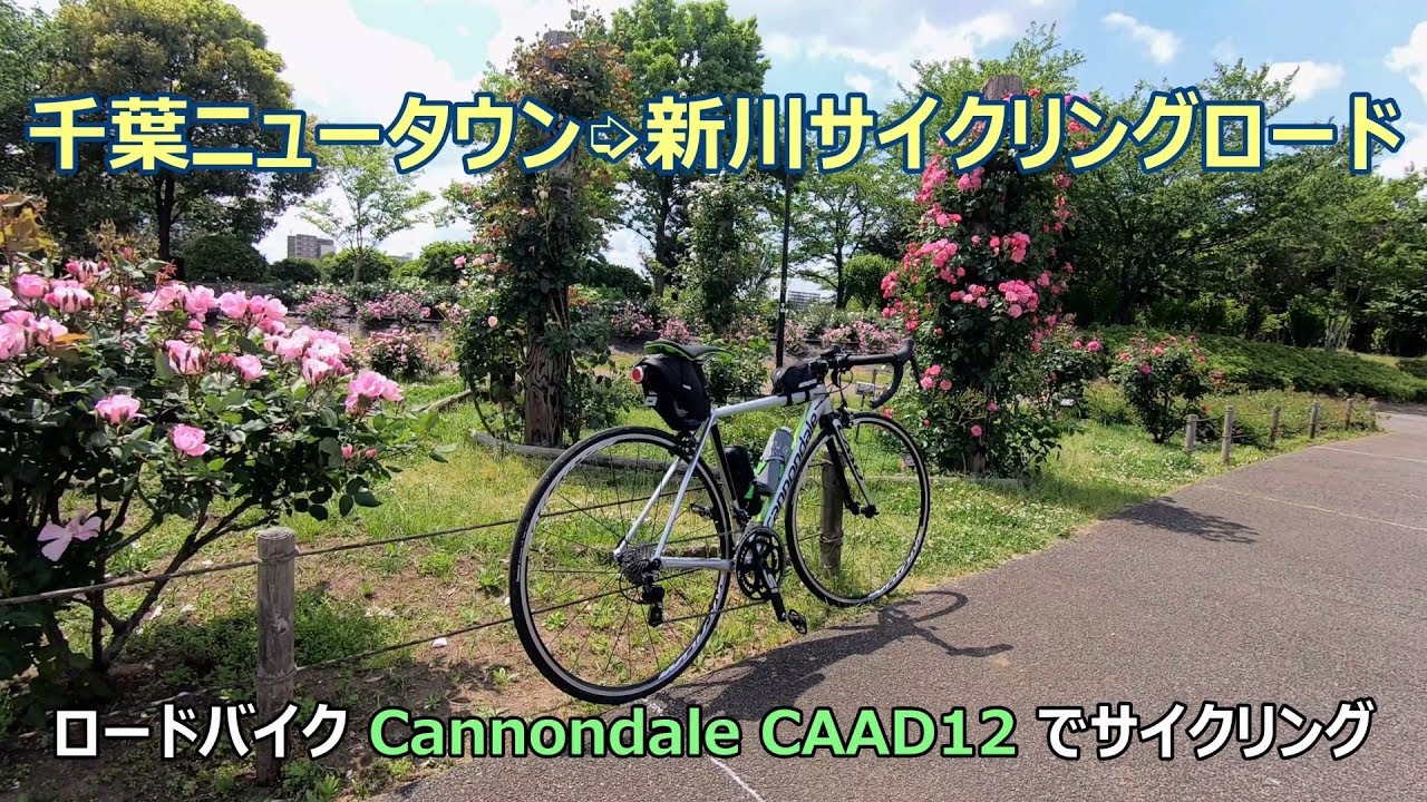 千葉ニュータウン➭新川サイクリングロード [2.7K⇨4K]（北総花の丘公園 バラ園 ～ 花見川 弁天橋まで）GoPro HERO7