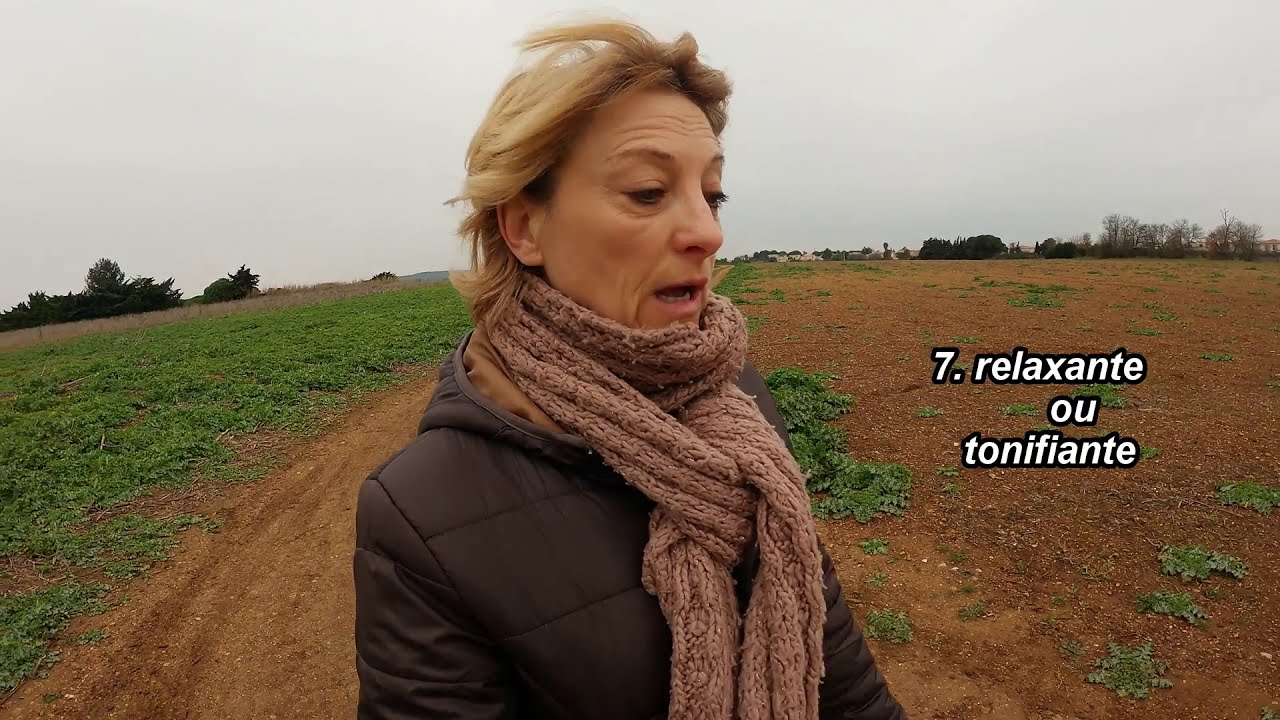 10 bienfaits de la marche