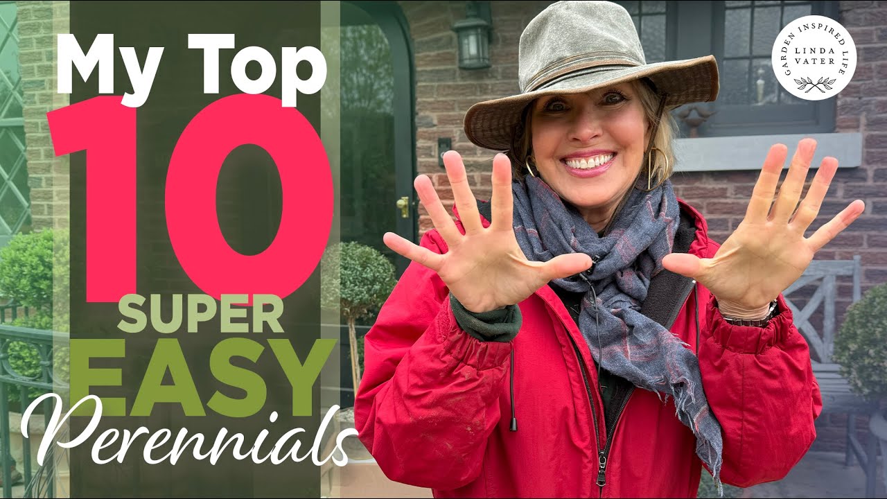 My Top 10 SUPER EASY Perennials 🌱💚