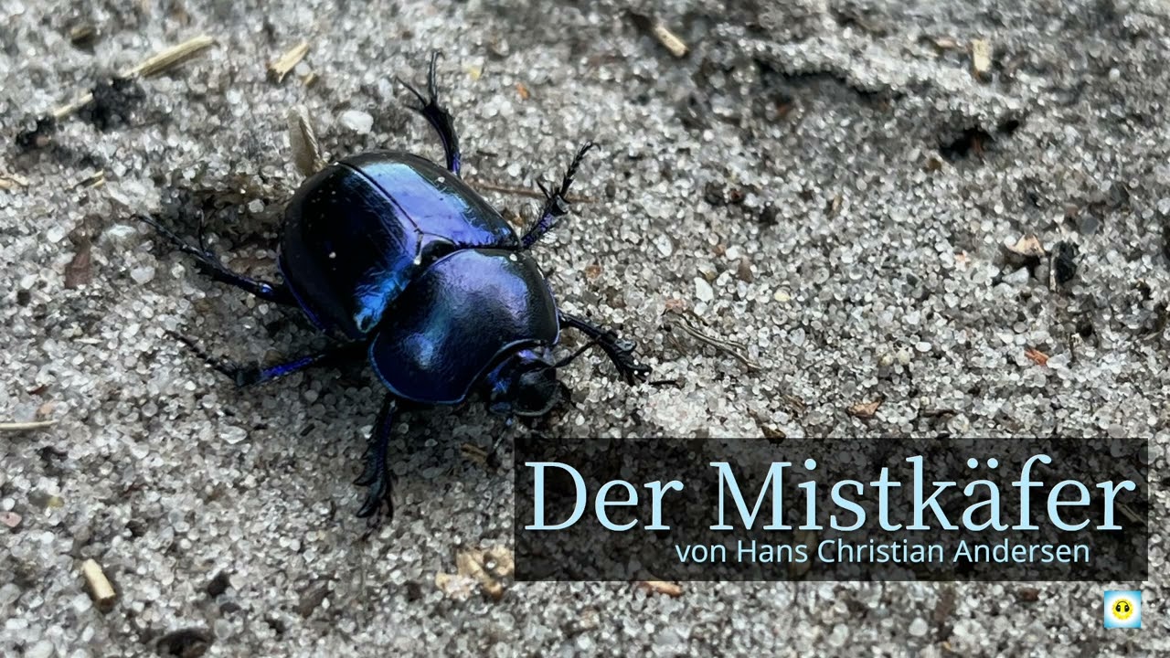 Der Mistkäfer - Märchen von Hans Christian Andersen