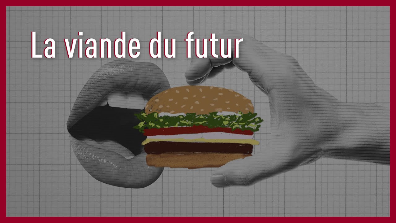 A quoi ressemblera la viande de demain?