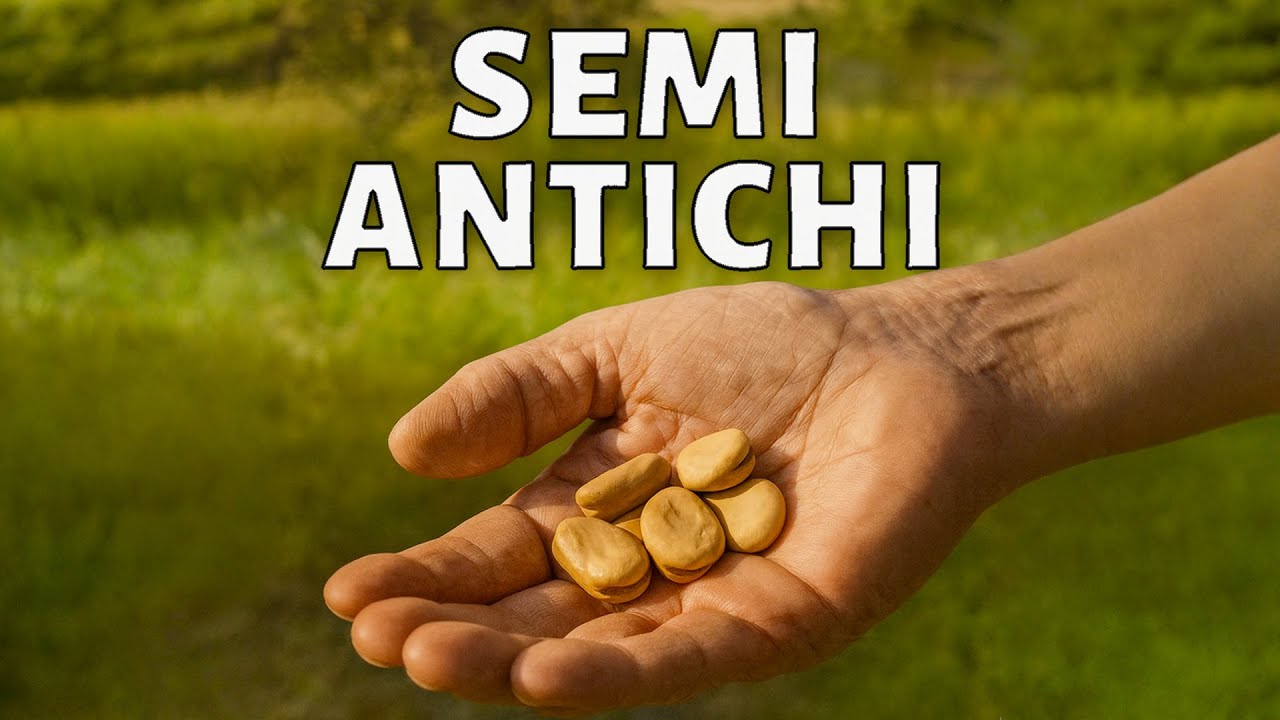 I semi autoctoni e la Banca del Germoplasma di ARPA Umbria