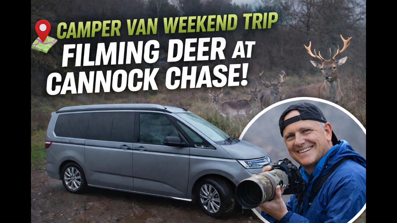 Camper Van Weekend at Cannock Chase | Filming Wild Deer in the Mist