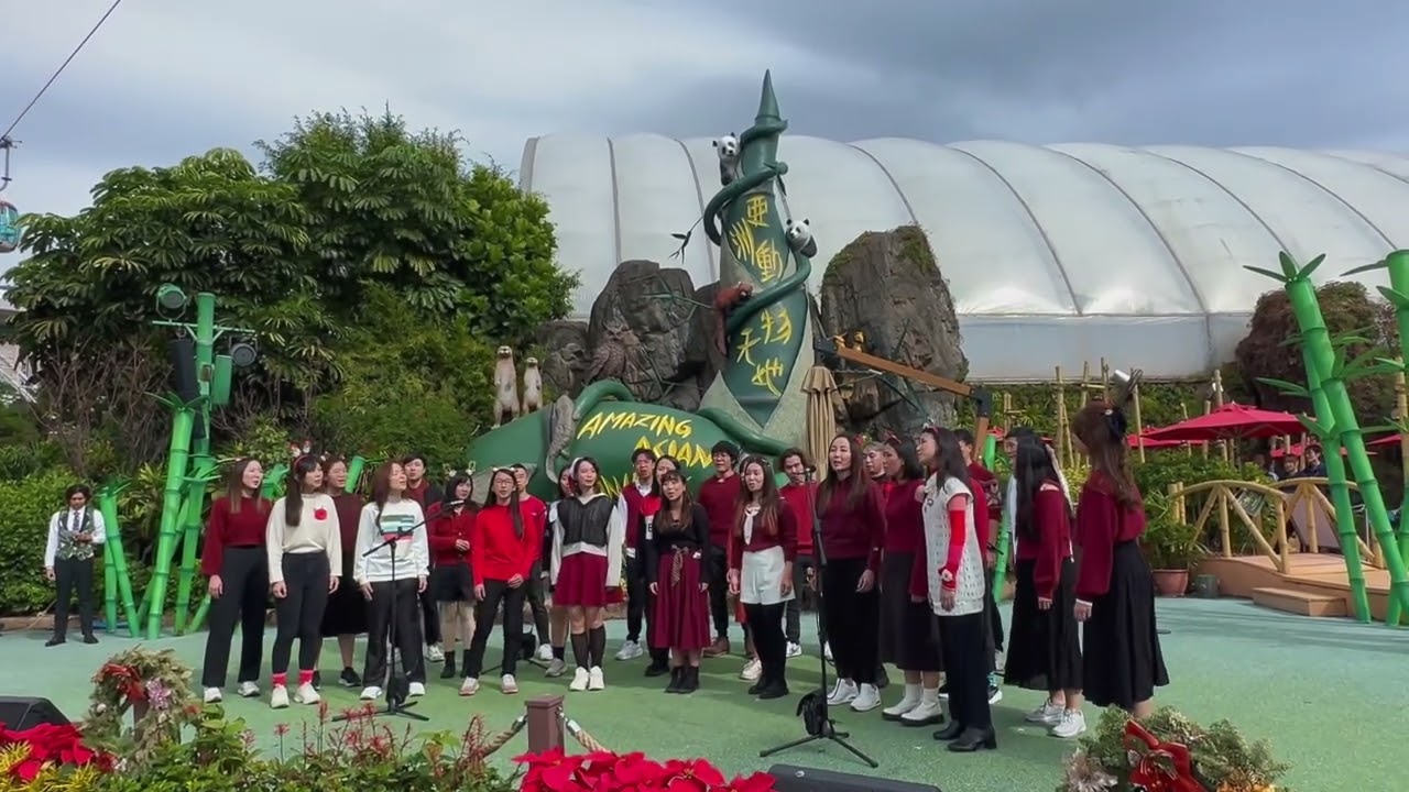 Ocean Park Christmas Performance ｜ 2024 ｜ WAO!Singers