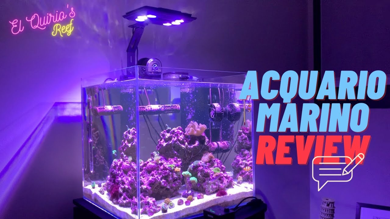 #26 Maxspect Jump MJ-L165 plafoniera LED - Recensione - Il mio acquario marino