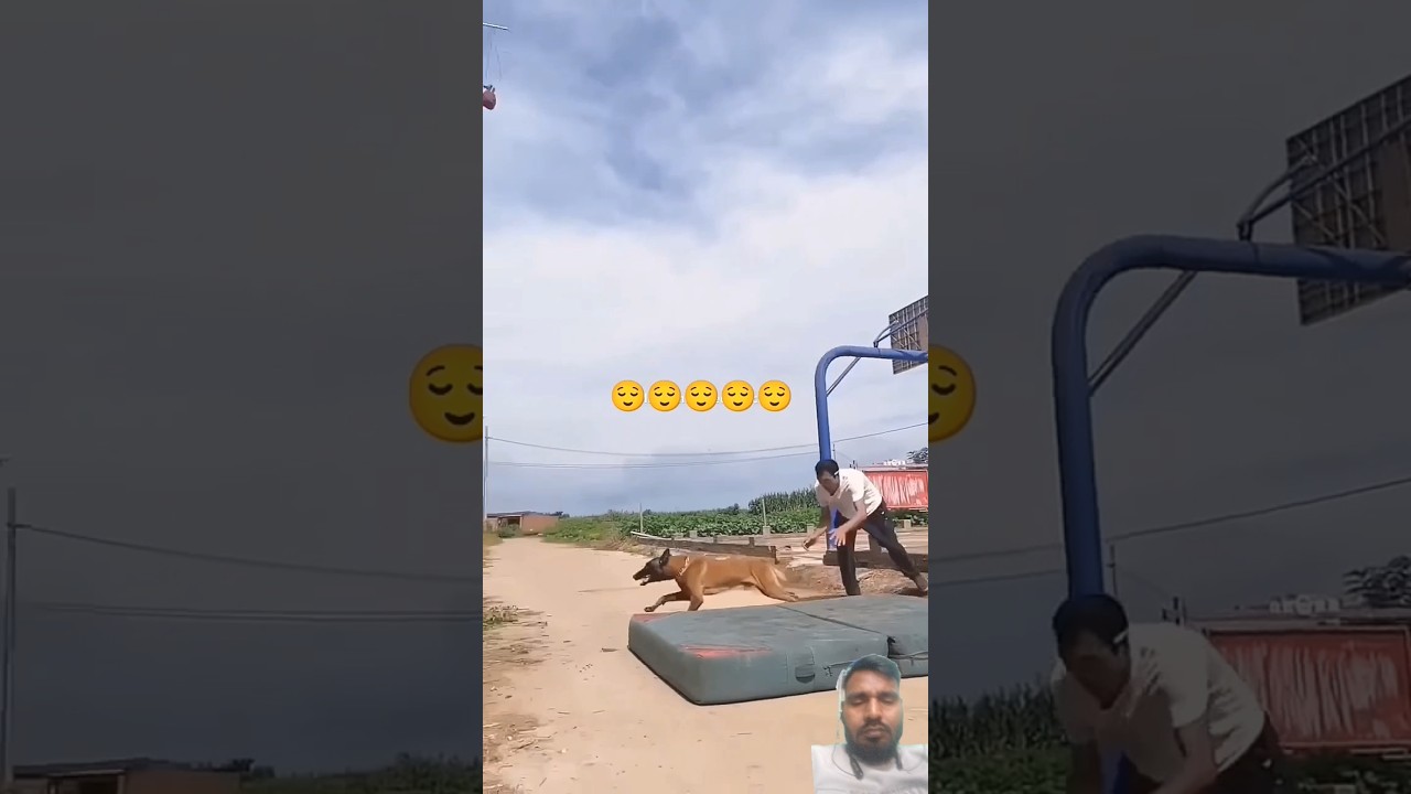 jabardast video 