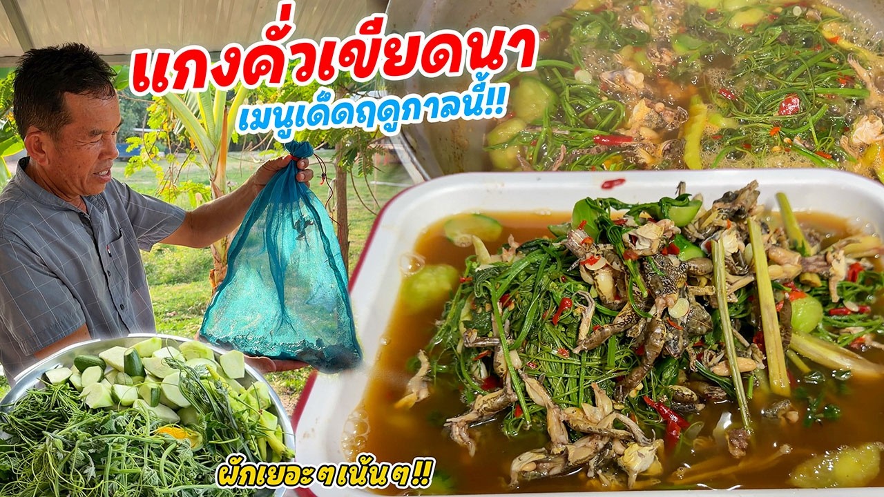 เมนูเด็ด!! แกงคั่วเขียดนาไส่บวบป้อม ผักเยอะๆ เมนูประจำฤดูกาล ของโปรดกระถินน้อย มาแซ่บๆนำกันเด้อ!!