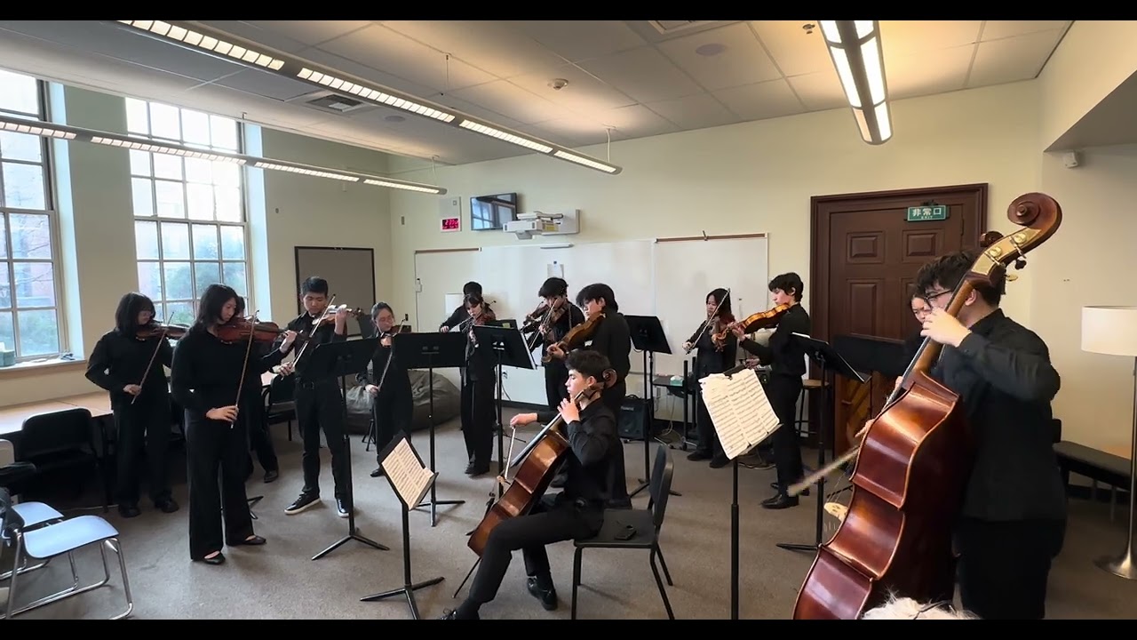 Serenade for Strings in C Major 1st mvt by Tchailkovsky