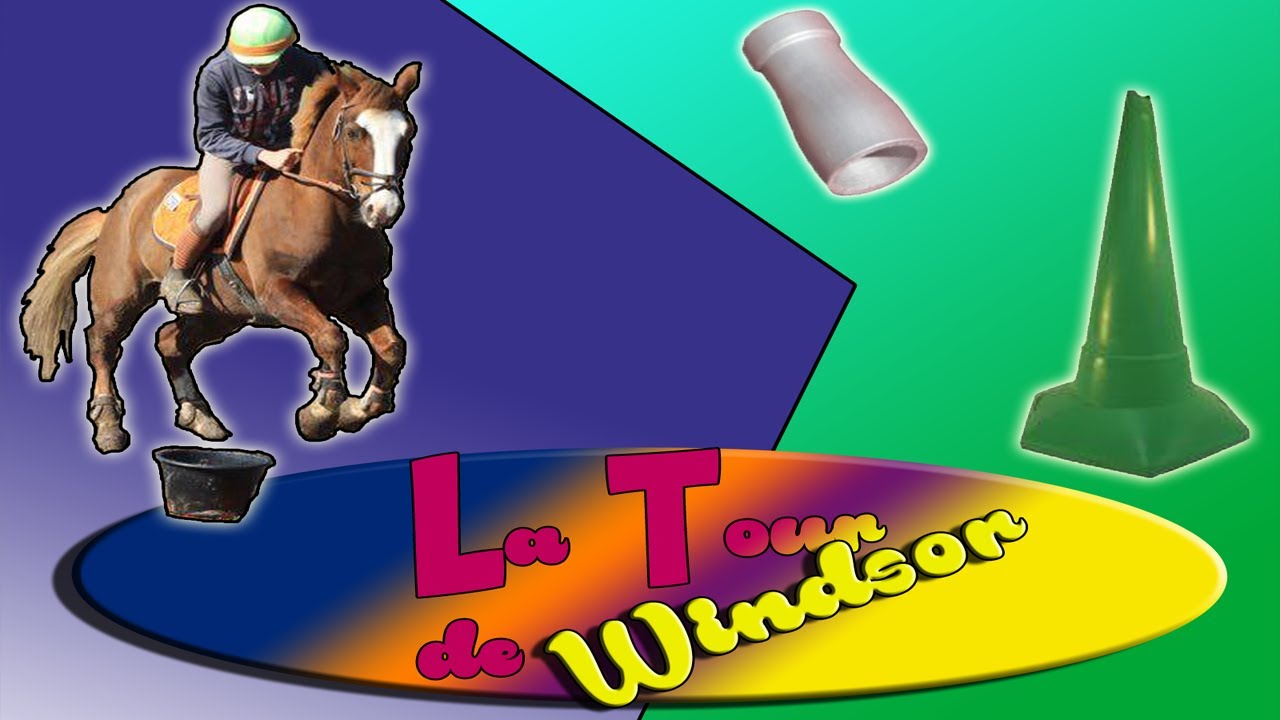 LES TECHNIQUES SUR WINDSOR :[Tuto Pony-Games]