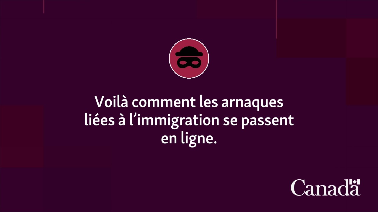 Voilà comment les arnaques liées à l’immigration se passent en ligne