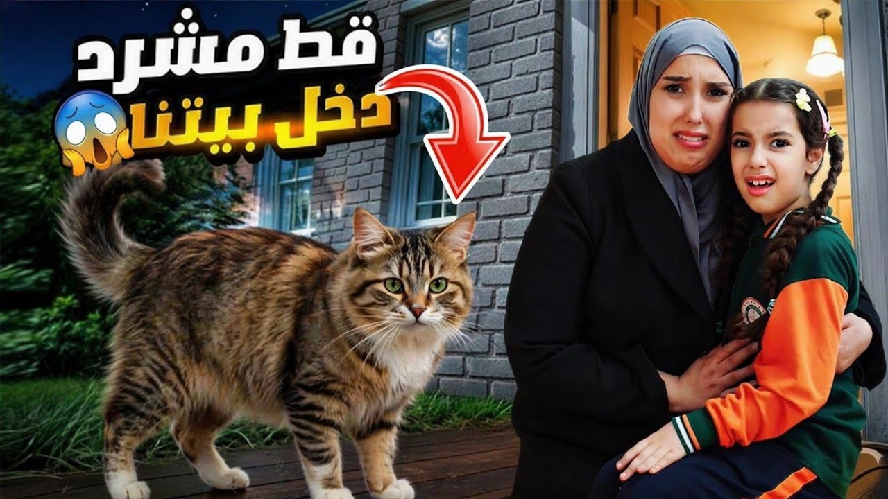 لقينا قط مشرد دخل بيتنا بنص الليل بالغلط مريم وسرى خافوا كثير !! ميمي هوم 