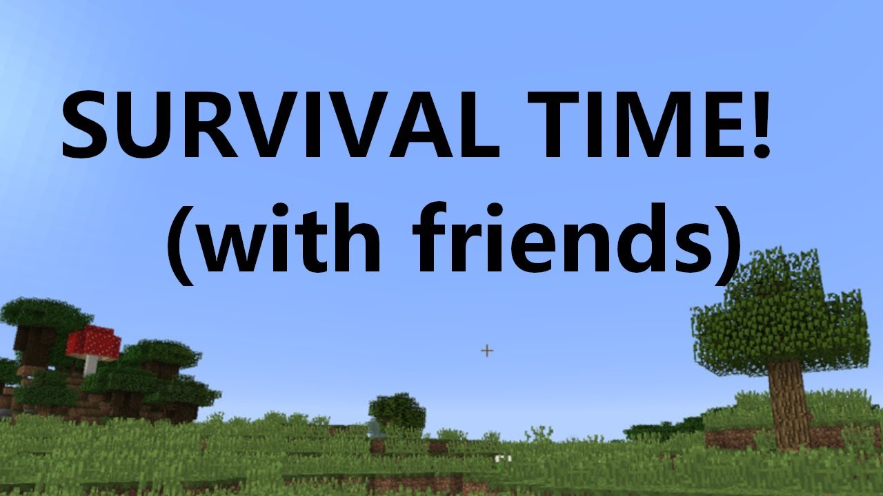 MineCraft Survival for fun