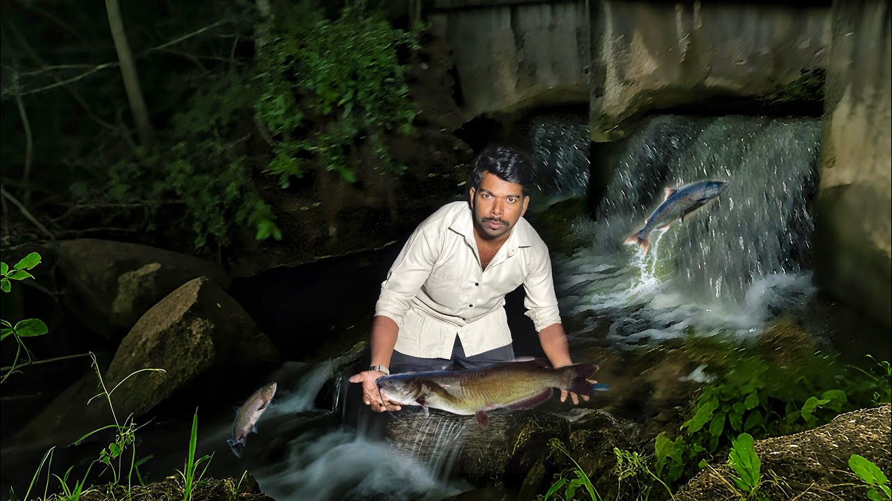 Got ATTACKED by Flying MONSTER Fish💀at 12AM MIDNIGHT! /JENISH KJ
