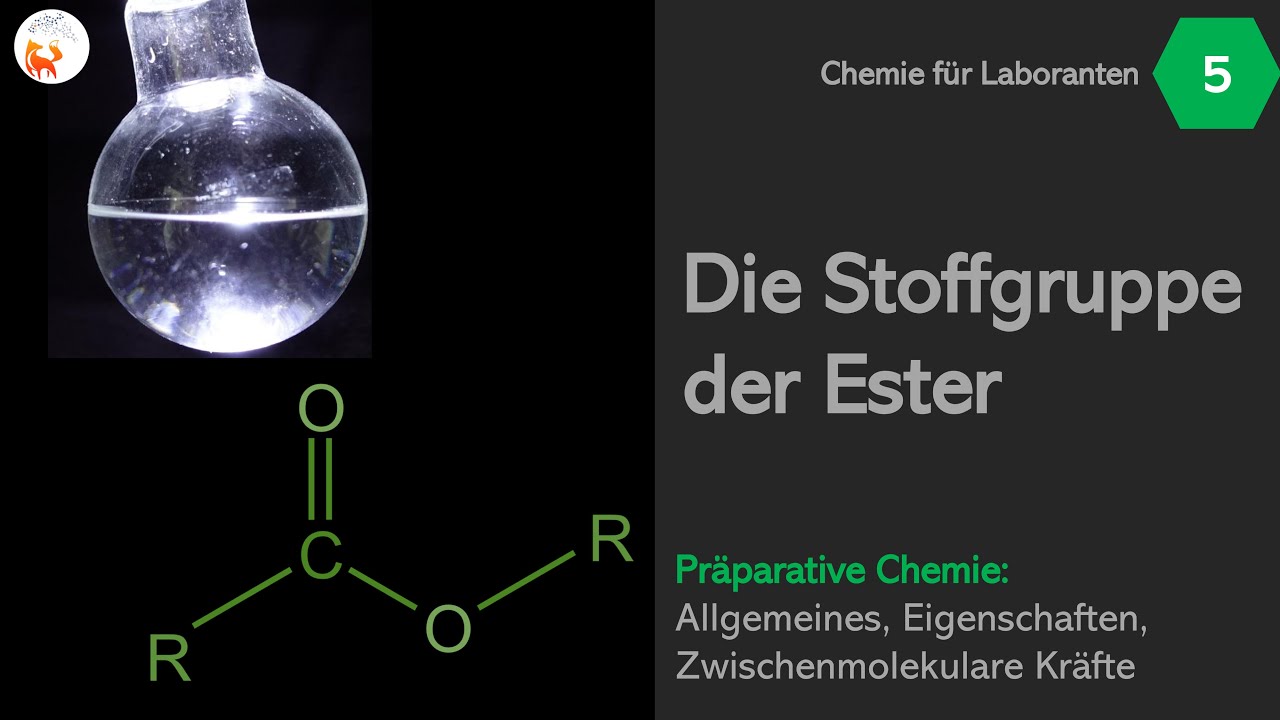 Ester und ihre Eigenschaften - LF5 - Carbonsäurederivate - DerChemieFuchs