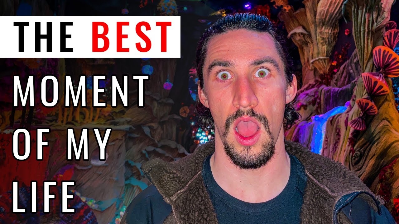 I took psychedelics to heal my traumas & find peace.