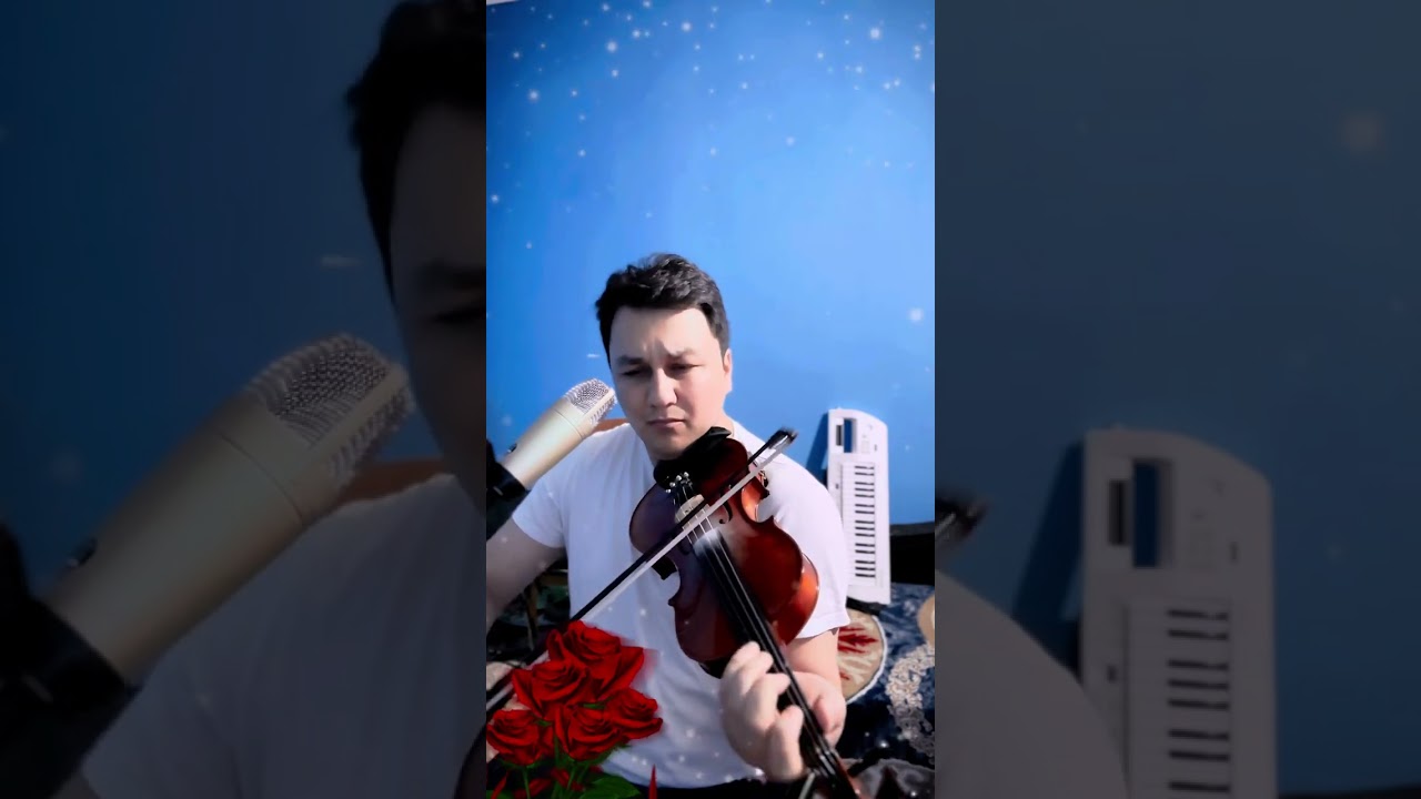 Gonul Saýfam 2024 Sohbet skripka janly ses