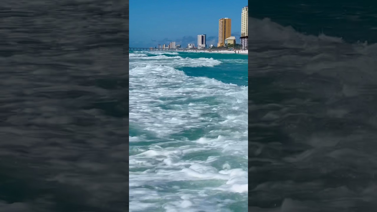 #florida
