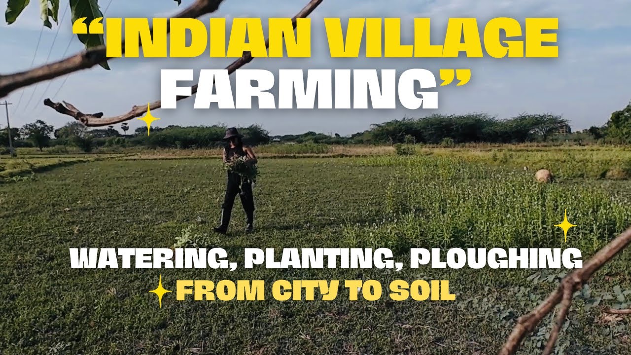 Indian Village Farming | Ploughing, Watering Plants & Farm Work - Mythri Mosaic