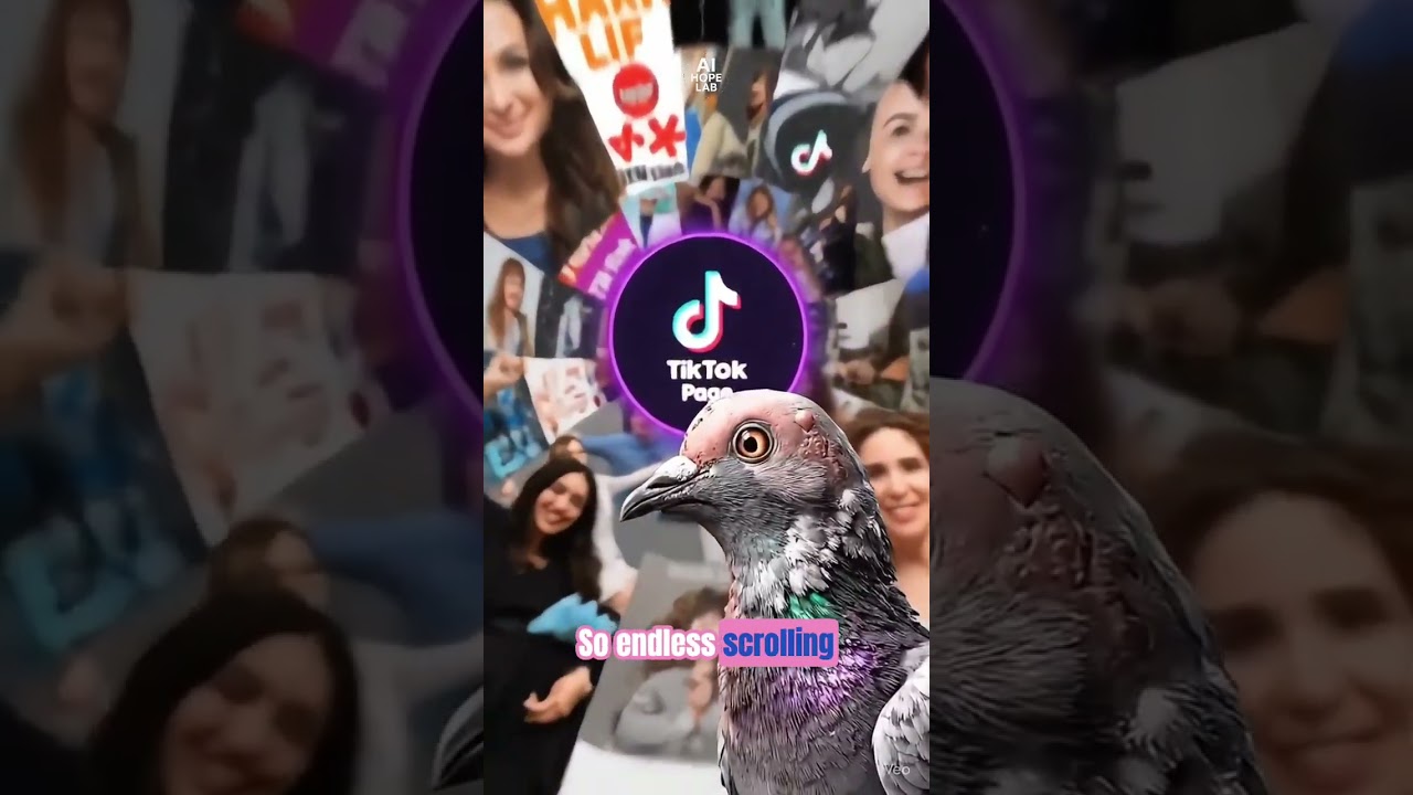 Nitpicker Pigeon: Endless Scrolling, Silly Dances & Zero Brains 